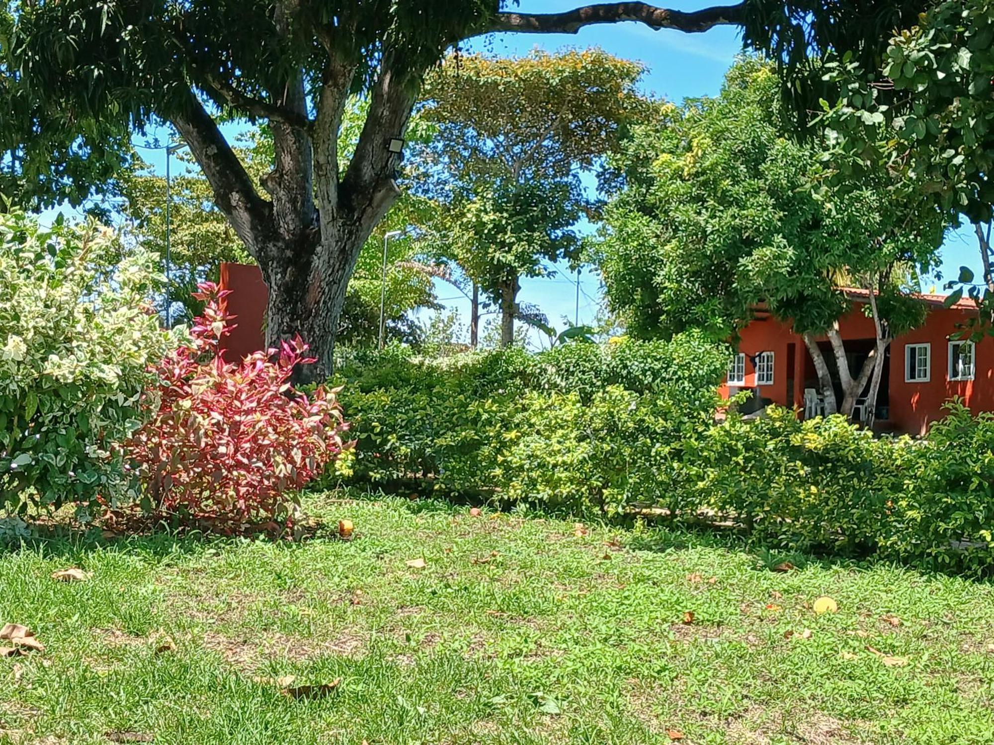 Hotel Cabanas Casita La Ermita San Carlos Eksteriør billede